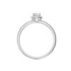 Model B_White Gold_A