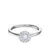 Model B_White Gold_B