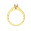 Model D_Yellow Gold_A