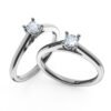 Model H_White Gold_C