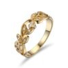 Van Amstel Ring Shidis1