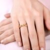 Van Amstel Ring Shidis2